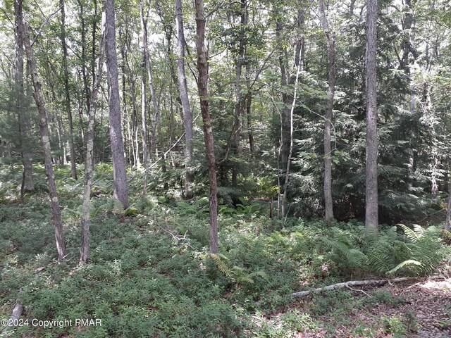 A141 Rosewood Dr, Jim Thorpe, PA 18229