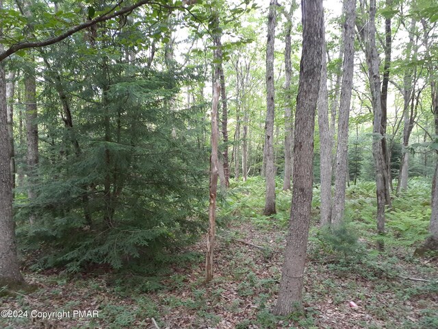 A141 Rosewood Dr, Jim Thorpe, PA 18229