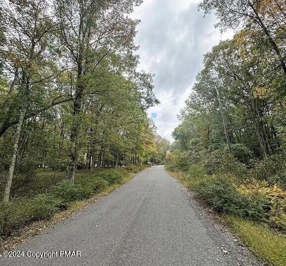 A141 Rosewood Dr, Jim Thorpe, PA 18229
