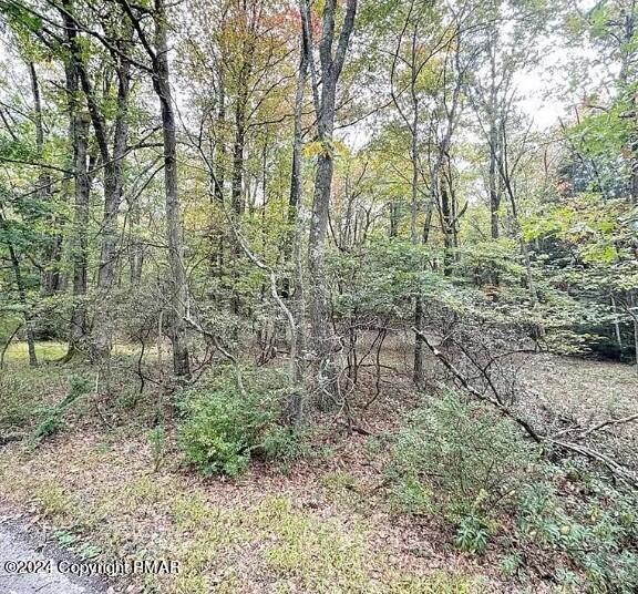 A141 Rosewood Dr, Jim Thorpe, PA 18229