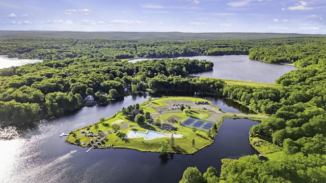 268 Outer Dr, Pocono Lake, PA 18347 - bird's eye view of a heavily wooded area and a nearby body of water