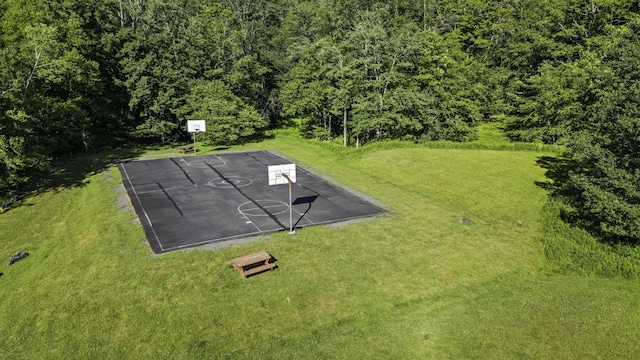 268 Outer Dr, Pocono Lake, PA 18347 - drone / aerial view