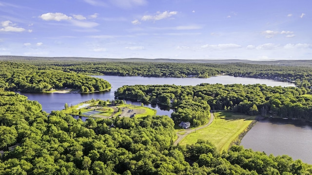 268 Outer Dr, Pocono Lake, PA 18347 - bird's eye view of a forest and a large body of water
