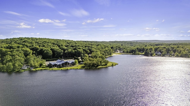 268 Outer Dr, Pocono Lake, PA 18347 - aerial view of a forest and a large body of water