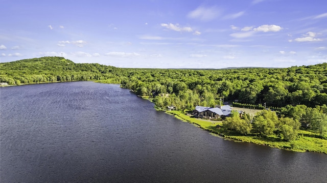 268 Outer Dr, Pocono Lake, PA 18347 - aerial view of a forest and a large body of water