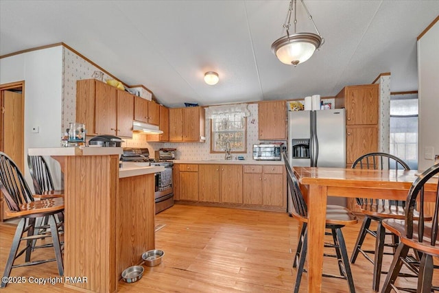 kitchen with stainless steel appliances, a sink, a peninsula, light wood-type flooring, and under cabinet range hood