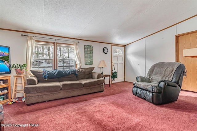 carpeted living area featuring a textured ceiling and ornamental molding