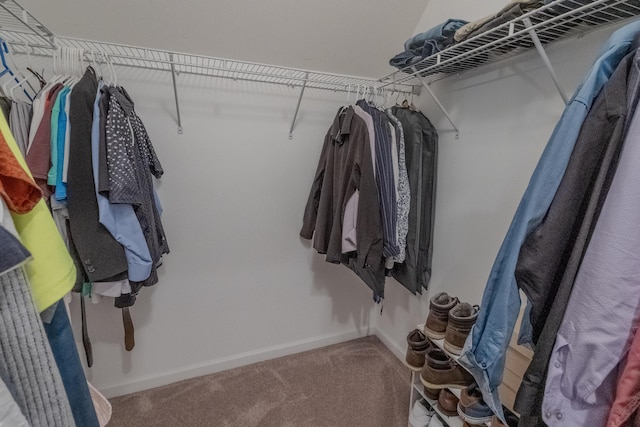 spacious closet featuring carpet