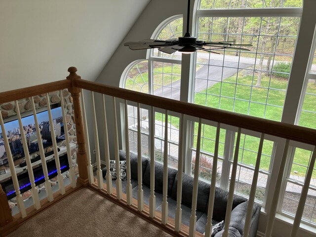 detailed view of carpet and a ceiling fan
