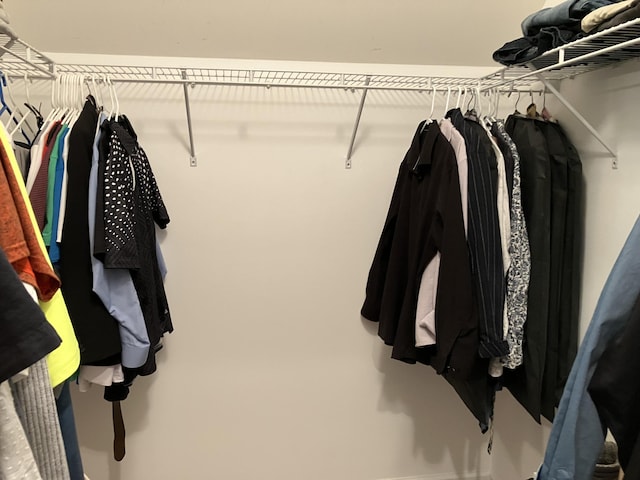 view of spacious closet