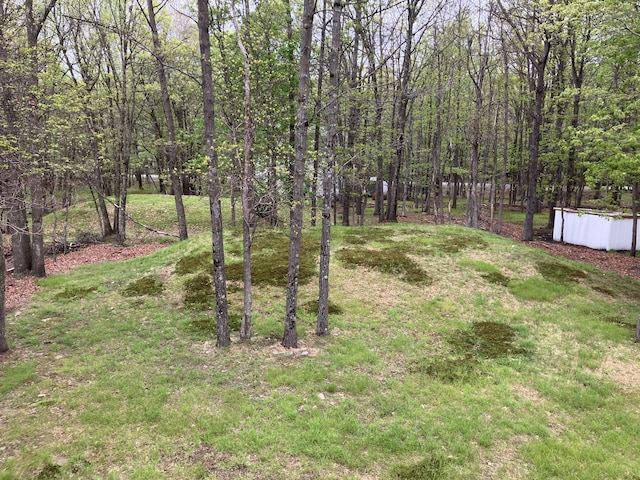 view of grassy yard featuring a forest view
