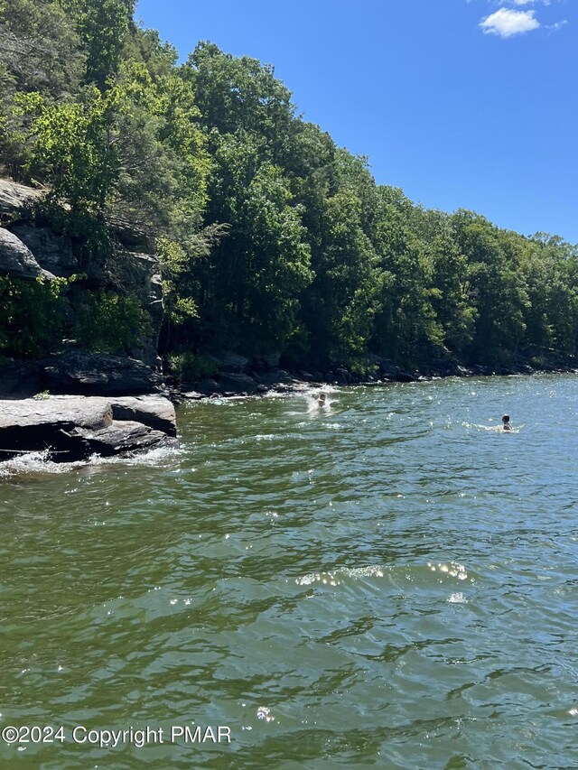 water view with a forest view