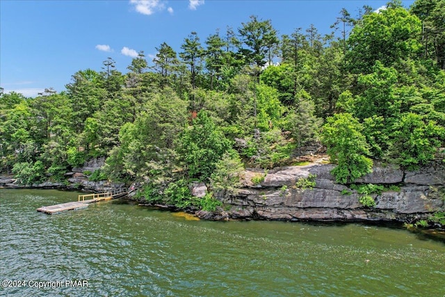 property view of water with a floating dock