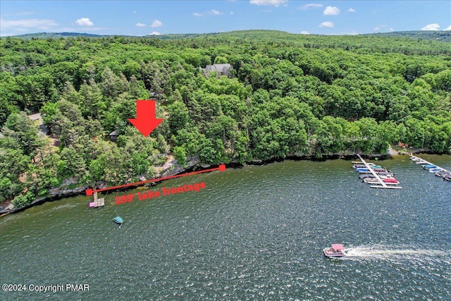 aerial view featuring a water view and a forest view