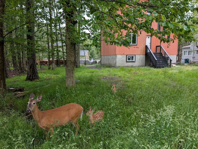 1584 Black Birch Way, Tobyhanna, PA 18466 - view of yard