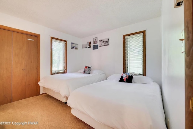 138 Banbury Dr, Bushkill, PA 18324 - bedroom with multiple windows and carpet flooring