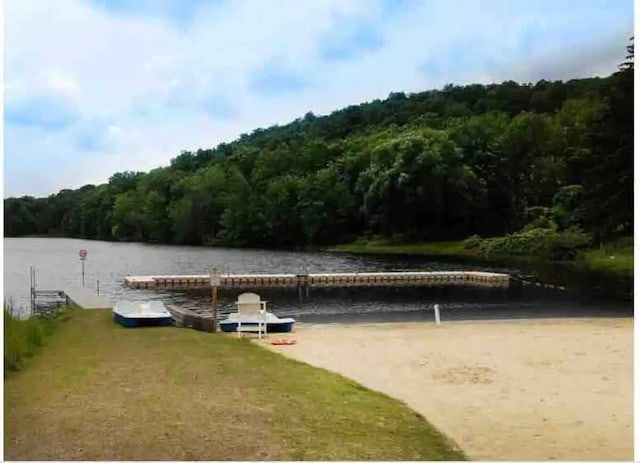 138 Banbury Dr, Bushkill, PA 18324 - view of home's community featuring a view of trees, a water view, and a boat dock