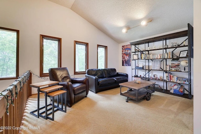 138 Banbury Dr, Bushkill, PA 18324 - living room with carpet floors, vaulted ceiling, healthy amount of natural light, and a textured ceiling