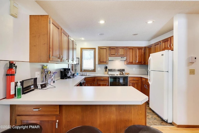 138 Banbury Dr, Bushkill, PA 18324 - kitchen featuring white appliances, under cabinet range hood, light countertops, a peninsula, and recessed lighting