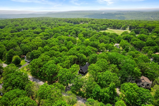 2154 Valleyview Dr, Bushkill, PA 18324 - drone / aerial view of a forest