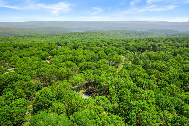 2154 Valleyview Dr, Bushkill, PA 18324 - aerial view of a heavily wooded area and a mountainous background