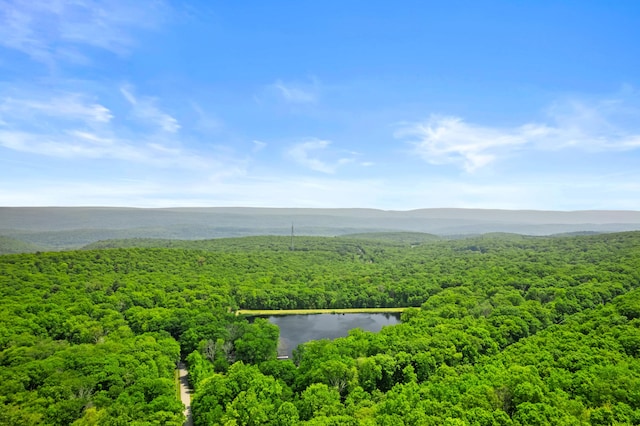 2154 Valleyview Dr, Bushkill, PA 18324 - aerial view of a heavily wooded area and a nearby body of water
