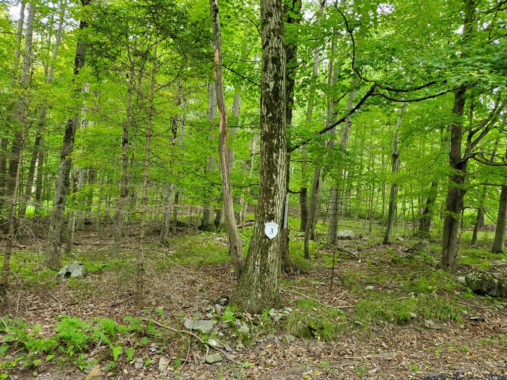 3 Tall Oak Ln, Pocono Lake, PA 18347