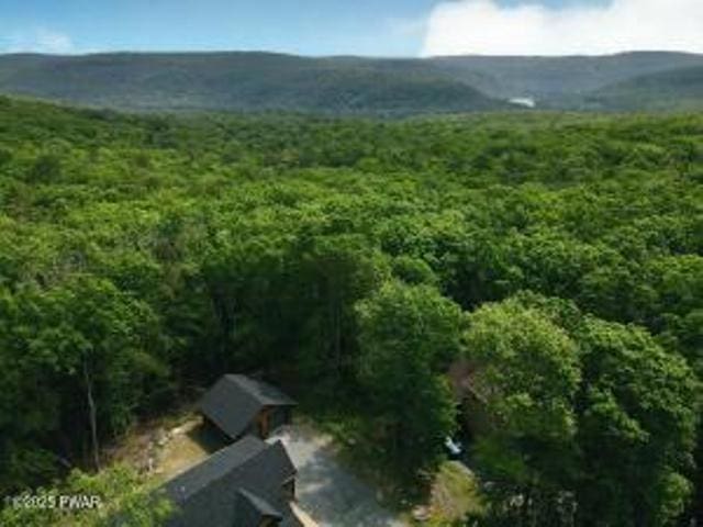 118 Eagle Rock Rd, Lackawaxen, PA 18435 - view of mountain backdrop with a heavily wooded area