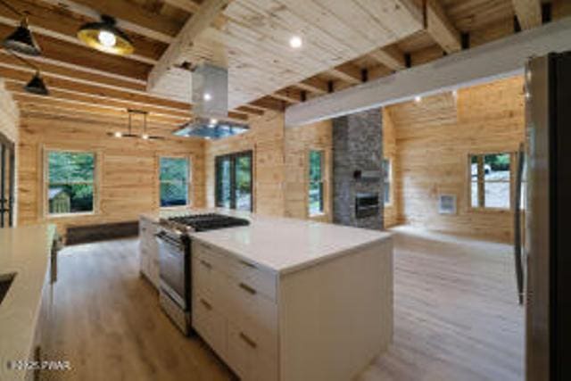 118 Eagle Rock Rd, Lackawaxen, PA 18435 - kitchen with appliances with stainless steel finishes, open floor plan, light wood finished floors, healthy amount of natural light, and a wooden ceiling with exposed beams