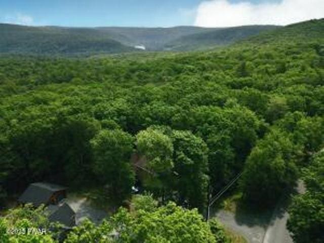 118 Eagle Rock Rd, Lackawaxen, PA 18435 - view of mountain background with a forest