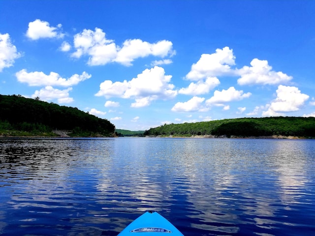 911 Granite Ter, Tobyhanna, PA 18466 - water view