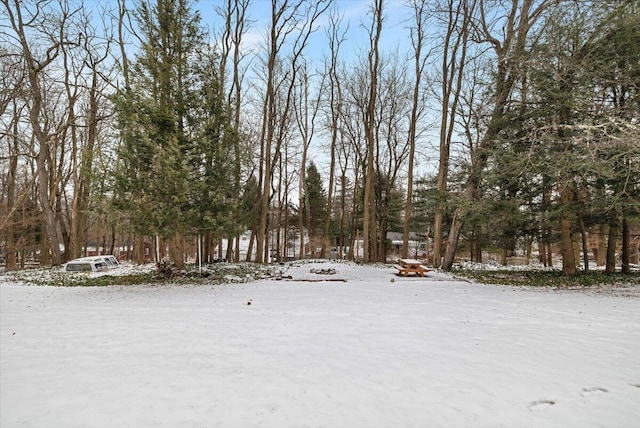 view of yard covered in snow