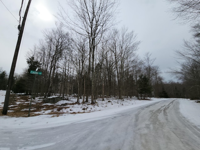 Listing photo 3 for LOT22 Arapaho 2 Ct, Pocono Lake PA 18347