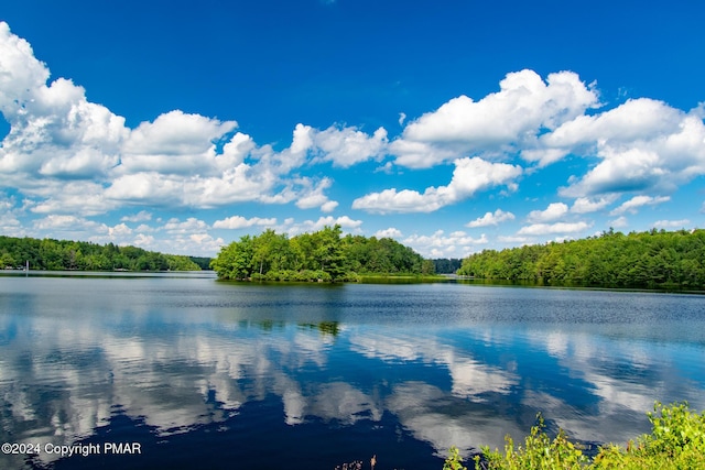 water view with a view of trees