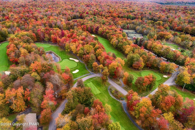 aerial view with view of golf course and a view of trees