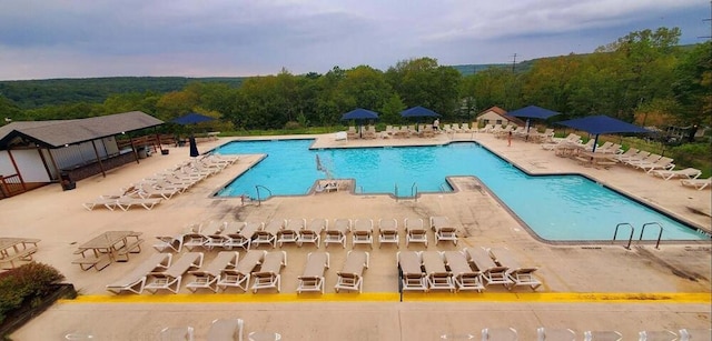 pool with a patio area and a view of trees