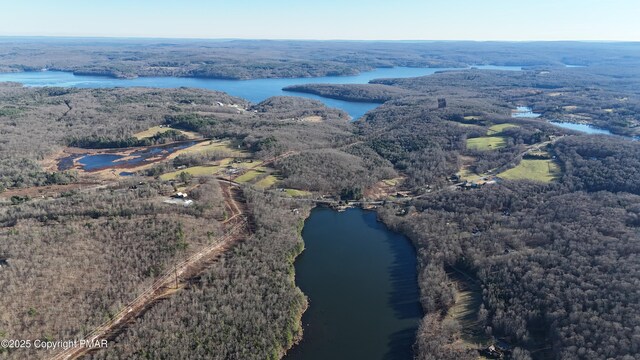 131L Sheridan Rd, Hawley, PA 18428 - drone / aerial view featuring a water view and a wooded view