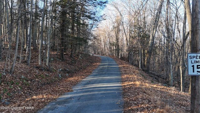 131L Sheridan Rd, Hawley, PA 18428 - view of road