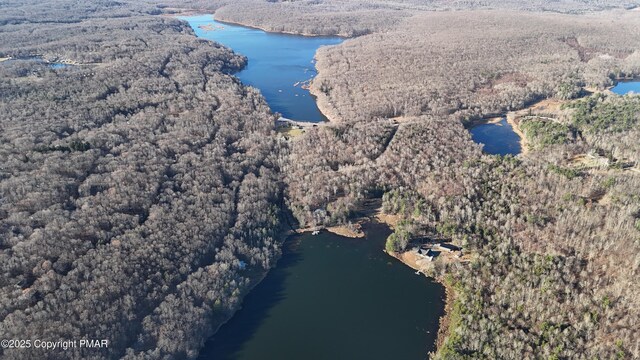 131L Sheridan Rd, Hawley, PA 18428 - drone / aerial view with a water view and a wooded view