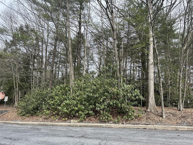 11th Ave, Nesquehoning, PA 18240 - photo 2