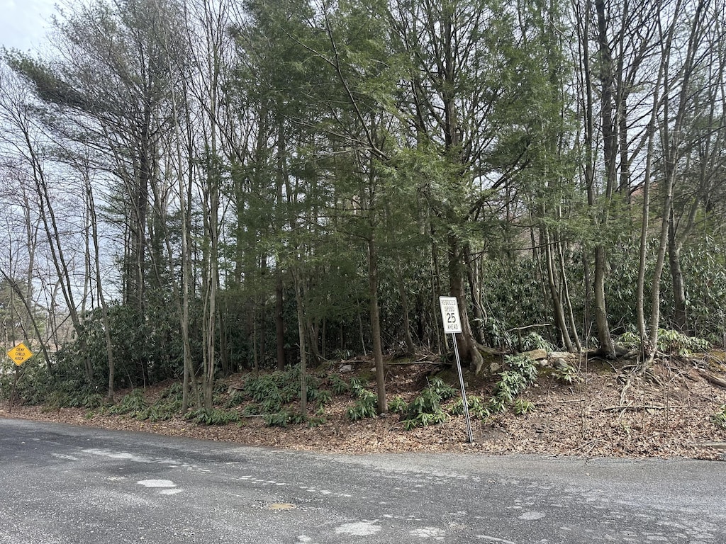 11th Ave, Nesquehoning, PA 18240 - photo 3