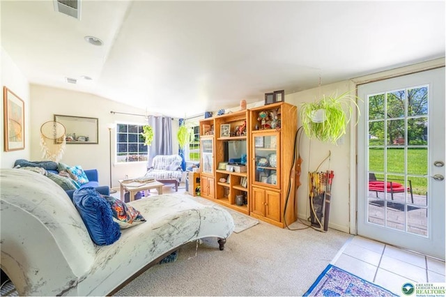 7112 Howell Ter, Stroudsburg, PA 18360 - bedroom featuring access to outside, lofted ceiling, multiple windows, and carpet floors