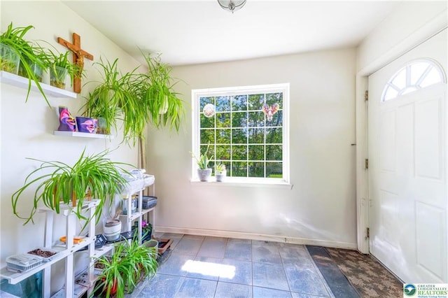 7112 Howell Ter, Stroudsburg, PA 18360 - foyer featuring plenty of natural light and baseboards