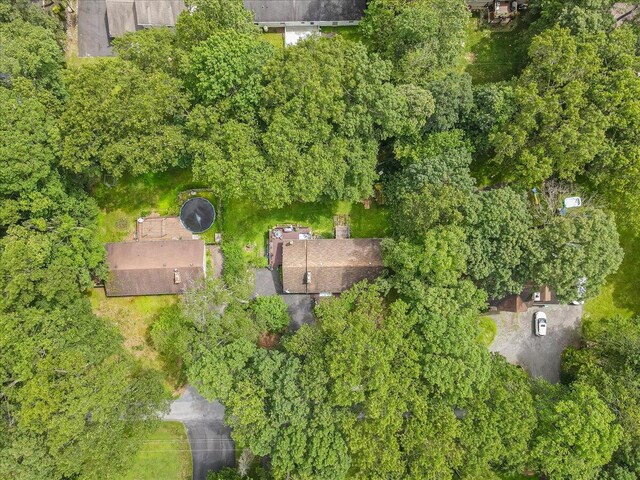 2125 Sassafras Ln, Kunkletown, PA 18058 - drone / aerial view