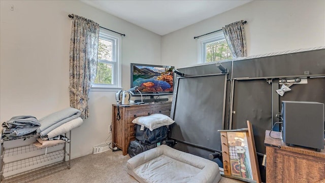 2125 Sassafras Ln, Kunkletown, PA 18058 - misc room with carpet