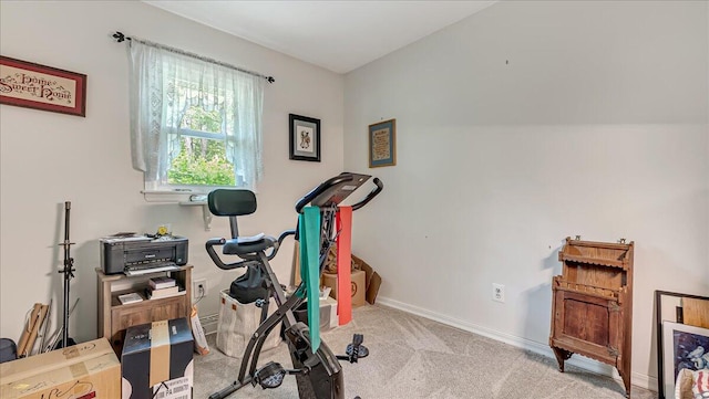2125 Sassafras Ln, Kunkletown, PA 18058 - exercise room featuring carpet floors and baseboards