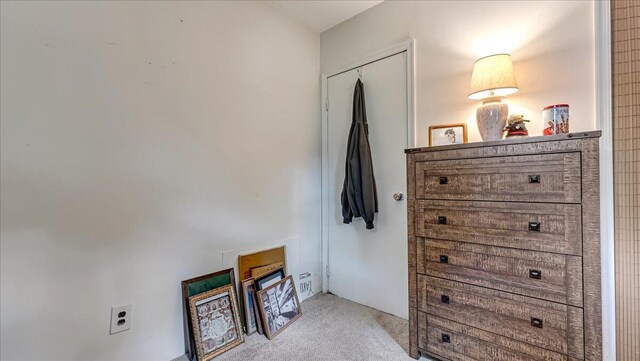 2125 Sassafras Ln, Kunkletown, PA 18058 - bedroom featuring light carpet and a closet