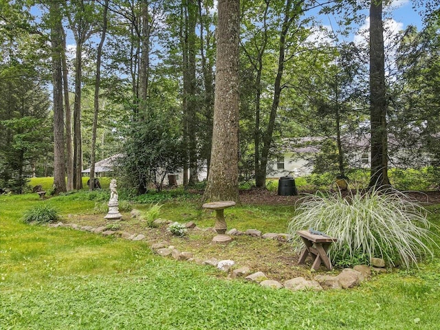 2125 Sassafras Ln, Kunkletown, PA 18058 - view of yard