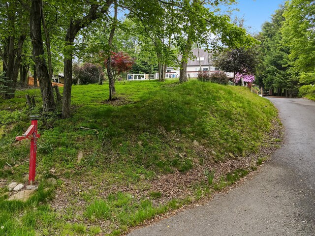 1651 Glade Dr, Long Pond, PA 18334 - photo 91