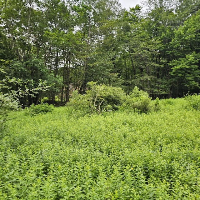 LOT45 Lake Russell Rd, Newfoundland, PA 18445 - photo 11